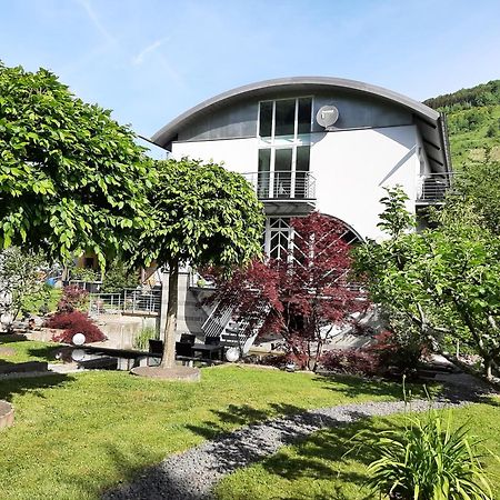 Ferienwohnung Sternenwald Alf Dış mekan fotoğraf