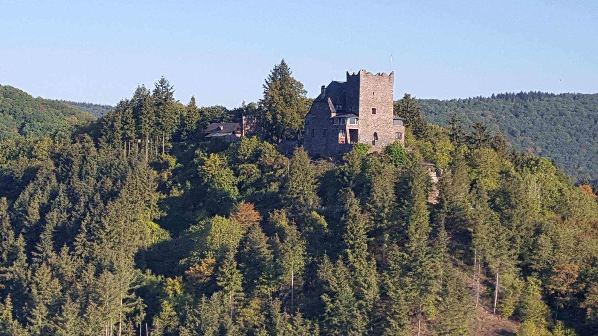 Ferienwohnung Sternenwald Alf Dış mekan fotoğraf