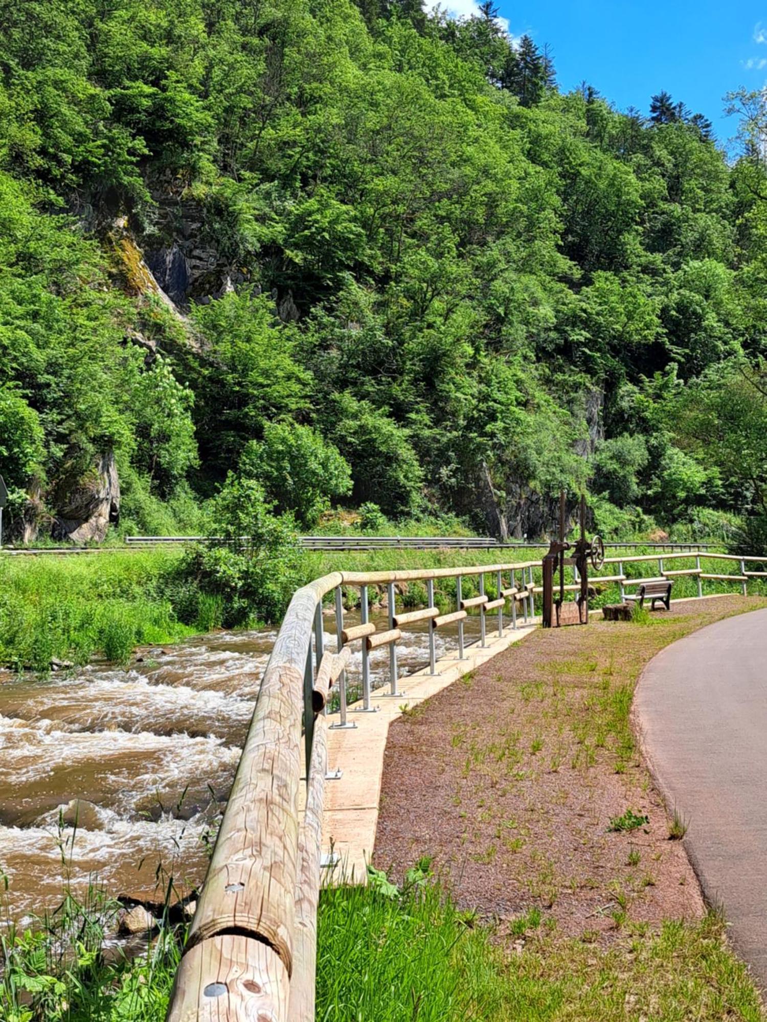 Ferienwohnung Sternenwald Alf Dış mekan fotoğraf