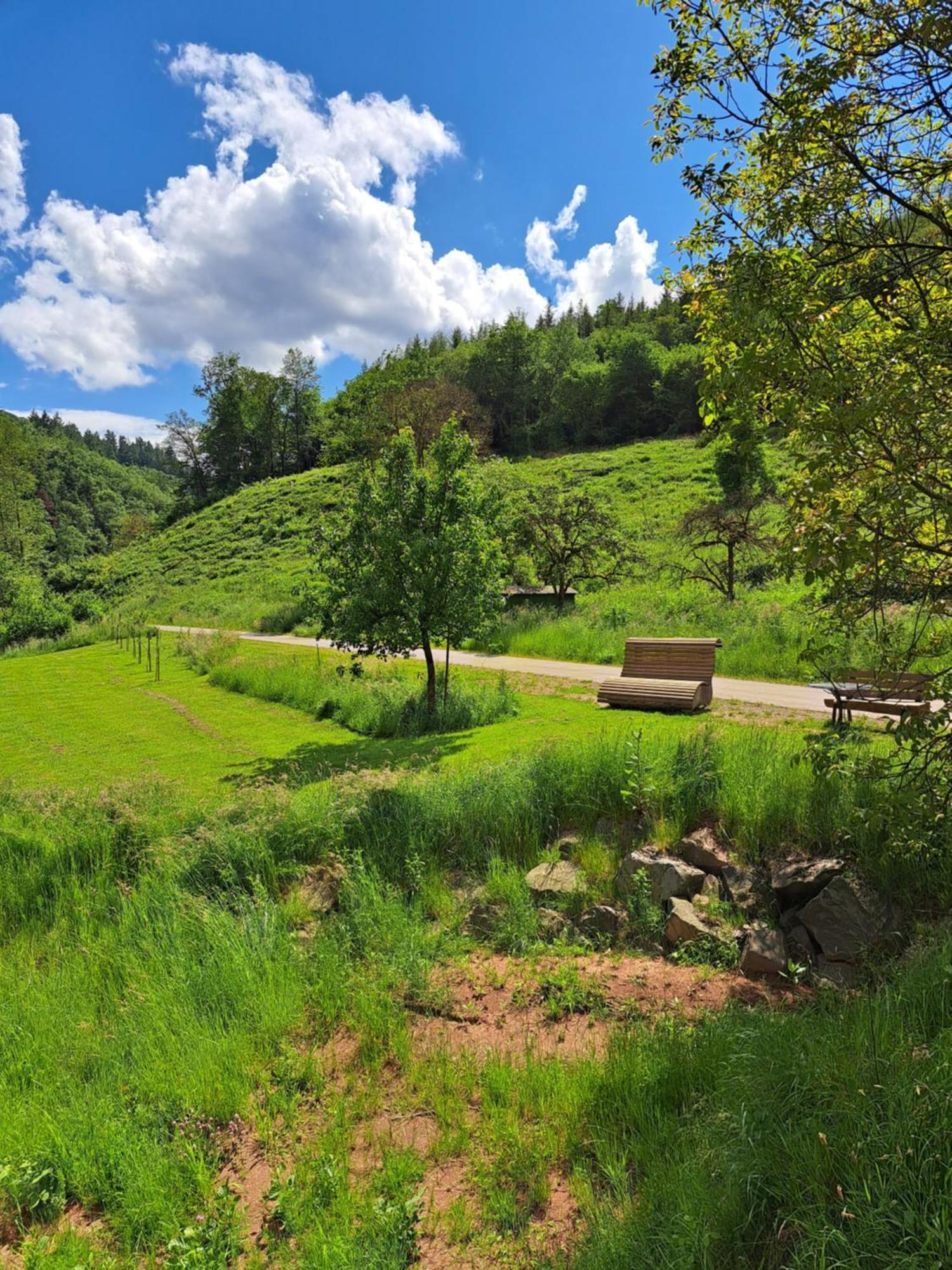 Ferienwohnung Sternenwald Alf Dış mekan fotoğraf