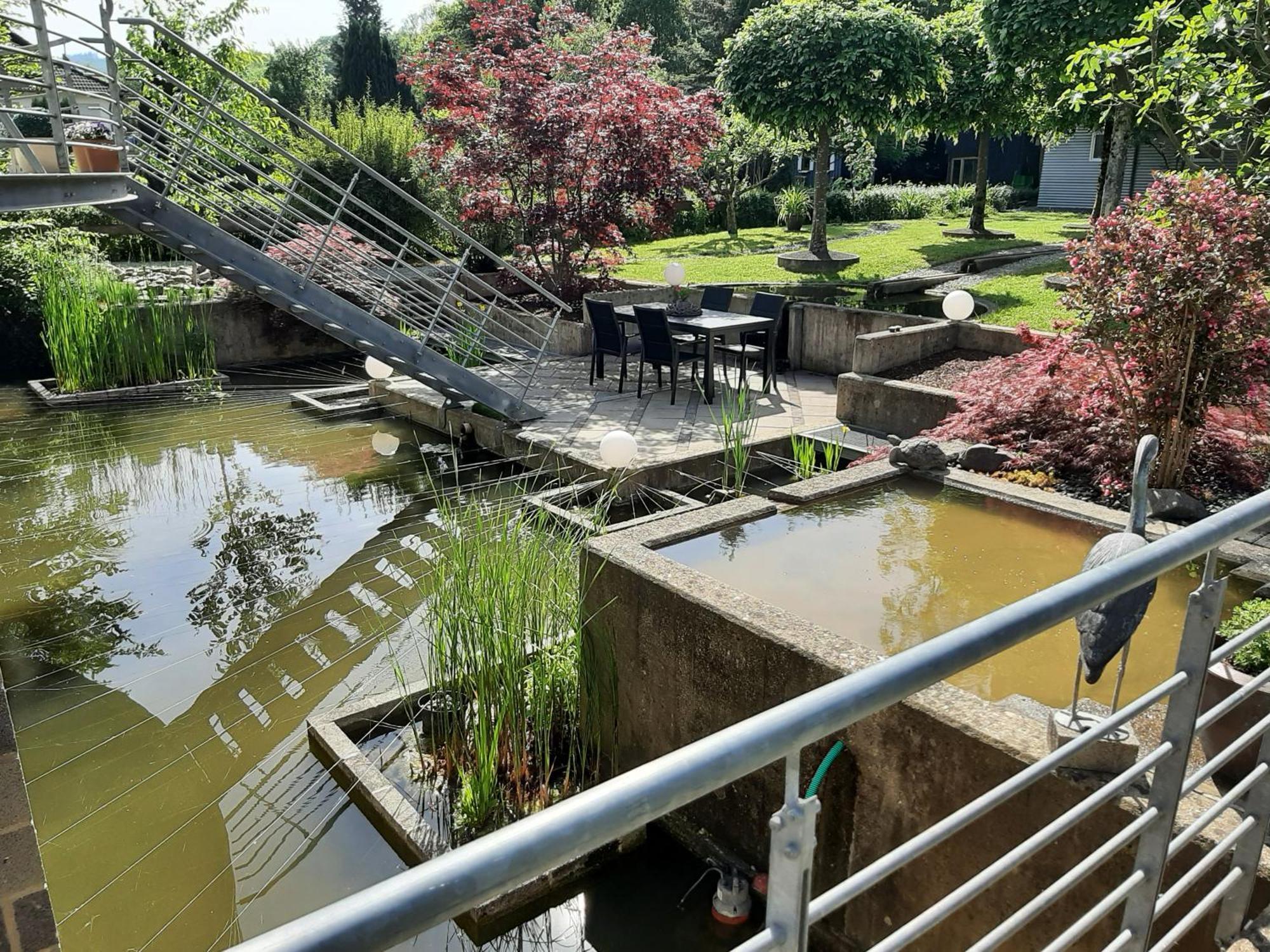Ferienwohnung Sternenwald Alf Dış mekan fotoğraf
