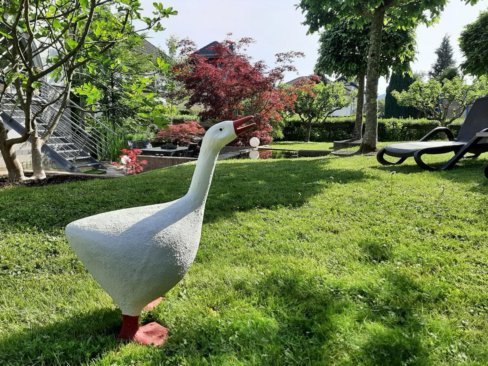 Ferienwohnung Sternenwald Alf Dış mekan fotoğraf